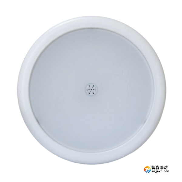 四川海湾HW-ZFJC-E6W-N656SG声光感应型消防应急照明灯具